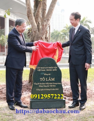 Lap dat bia da tu nhien trong cay luu niem